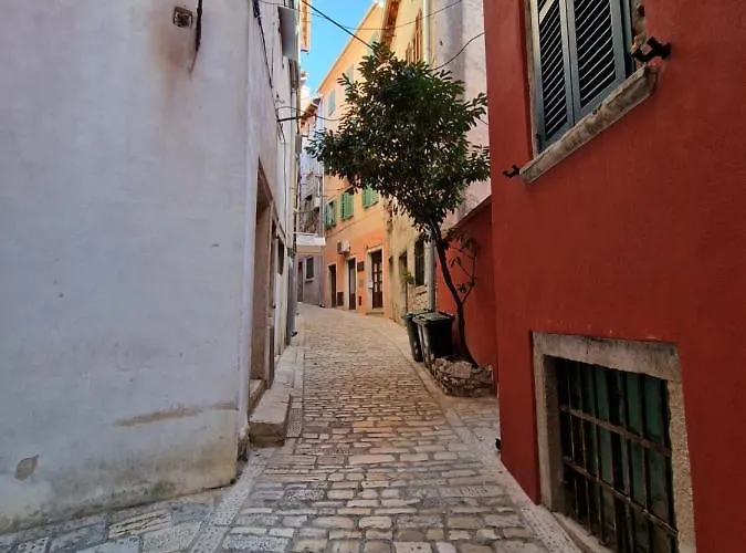 Artistico Ρόβινι